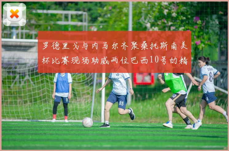罗德里戈与内马尔齐聚桑托斯南美杯比赛现场助威两位巴西10号的精彩时刻